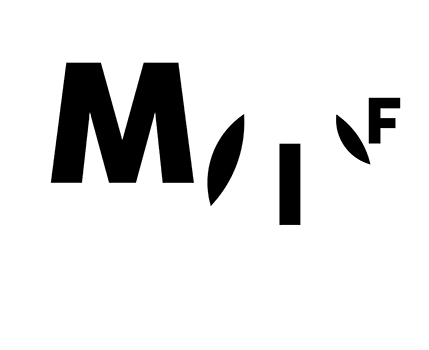 Logo Memòria, identitat i ficcions (MIF)